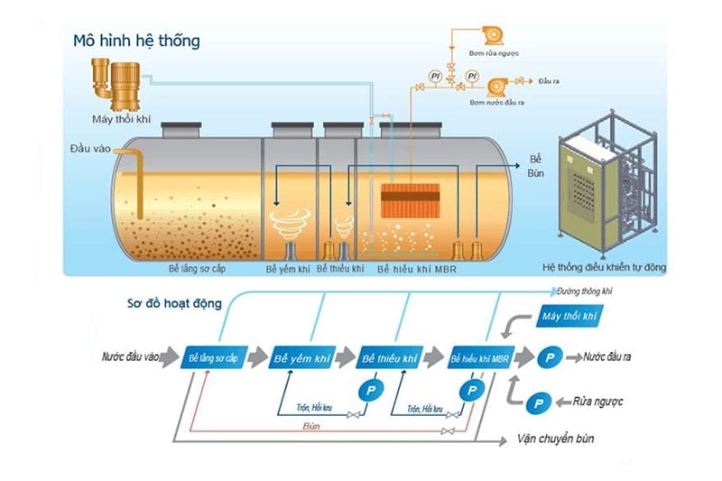 Giai đoạn xử lý sinh học